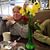 Lisa Watson's profile image