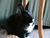 Gemma P.'s profile image