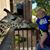 Cathi Farthing's profile image