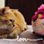 Karen Galdo's profile image