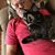Guy Cappola's profile image