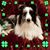 Joan Baur's profile image