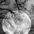 David Lorenz's profile image