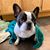 Fonda Elumbaugh Nuñez's profile image