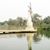 VeryNice Chandpur's profile image