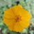 Dawn Barr's profile image