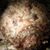 Luke Camminacielo's profile image