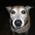 Stacey Rider's profile image