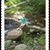 Mike Smail's profile image