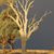 Raelene Albery's profile image