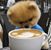Soonjeong Noh's profile image