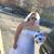 Ashley Johnson's profile image