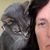 Maureen Maldonado Harrison's profile image