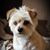 Jeff Lentz's profile image