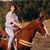 Lisa Dahlgren's profile image