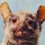 Angel Mendoza's profile image