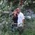 Missy Deutsch's profile image