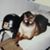 Phil Shaw's profile image