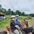 Kim Ullmann Wentzel's profile image