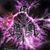 L Jason Lilley's profile image