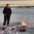 Carol Gingerich's profile image