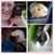 Lisa Provencal's profile image
