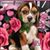 Lisa Rice's profile image