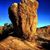 Kip Williams's profile image