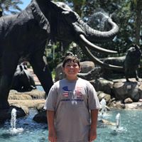 Leann Falcone's profile image