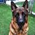 Mike LaChance's profile image