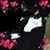 Kimberly Ray's profile image