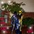 Lina Nelson's profile image