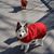 Denise Napier Longley's profile image