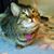 Bette Boyer's profile image