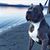 Joseph Garcia's profile image