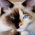 Vonda K Metcalf's profile image