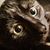 Kevin Smith's profile image