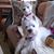 Dot Hosking Huntley's profile image
