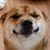 Brenda Milder Mangrich's profile image