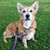 Cynthia Lasley's profile image