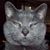 James Guyette's profile image