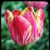 Joan Degroat Finigan's profile image