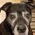 Jessie Wollmuth's profile image