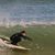 Marky Lessard's profile image