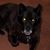 Ann Braga's profile image