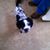 Julie Fisk's profile image