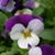 Beverly Proell's profile image