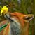 Heidi Brotherton's profile image