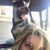 Tracy Lewis-Smith's profile image
