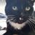 Catherine Bravo's profile image